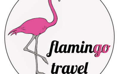 Kilka słów od Flamingo
